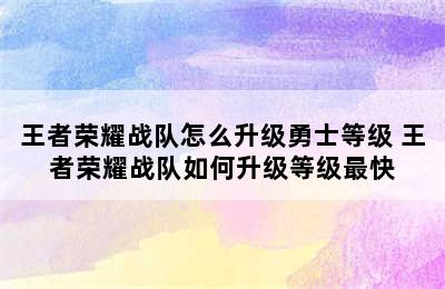 王者荣耀战队怎么升级勇士等级 王者荣耀战队如何升级等级最快